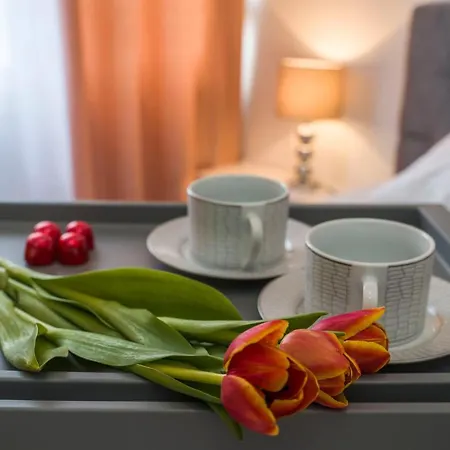 Nice 公寓 斯普利特