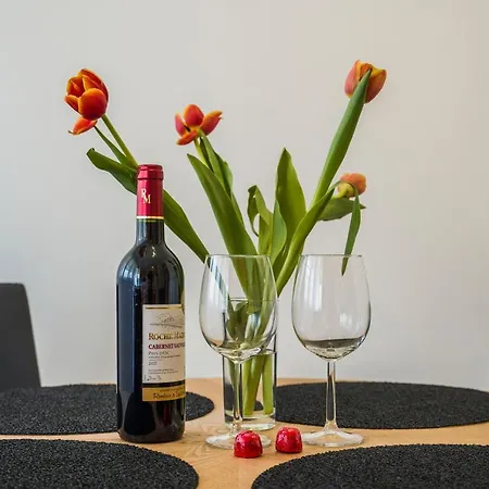 公寓 Nice 斯普利特